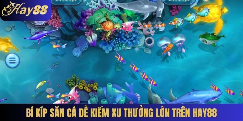 Bí kíp săn cá dễ kiếm xu thưởng lớn trên Hay88