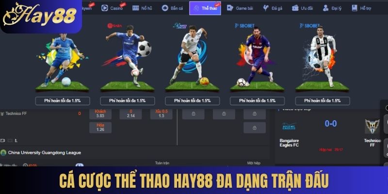 Cá cược Thể thao Hay88 đa dạng trận đấu