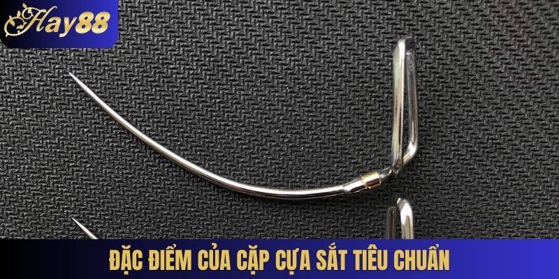 Đặc điểm của cặp cựa sắt tiêu chuẩn dùng trong đá gà