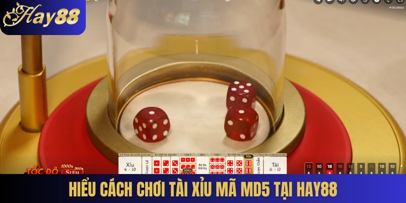 Hiểu cách chơi Tài xỉu mã MD5 tại Hay88