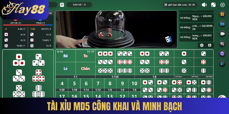 Tài xỉu MD5 công khai và minh bạch
