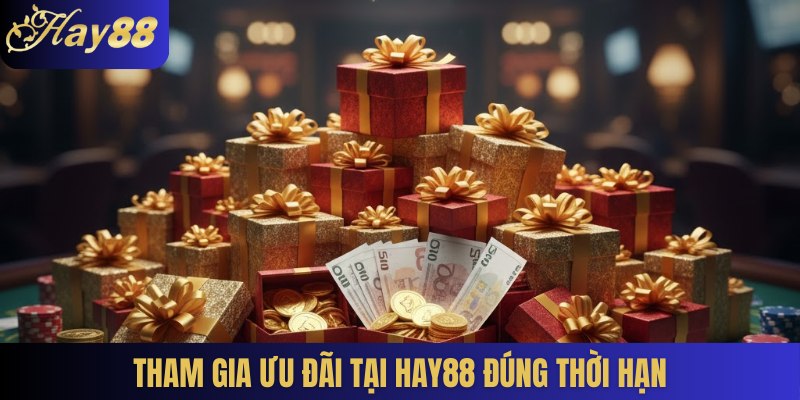 Tham gia ưu đãi tại Hay88 đúng thời hạn