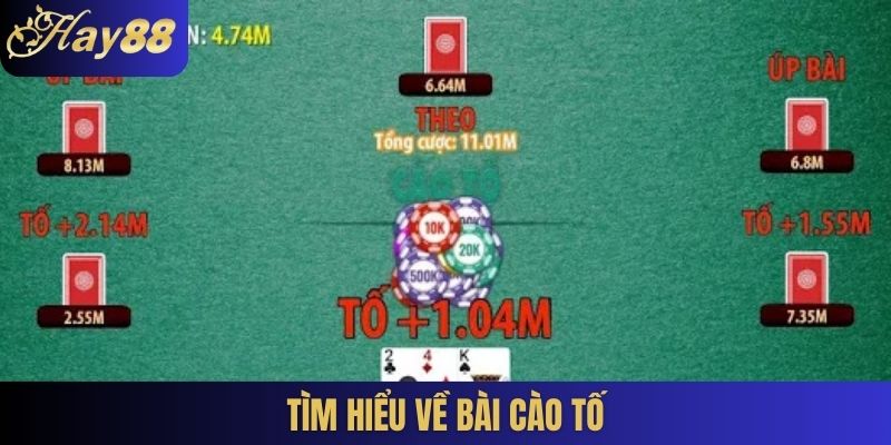 Tìm hiểu về Bài cào tố